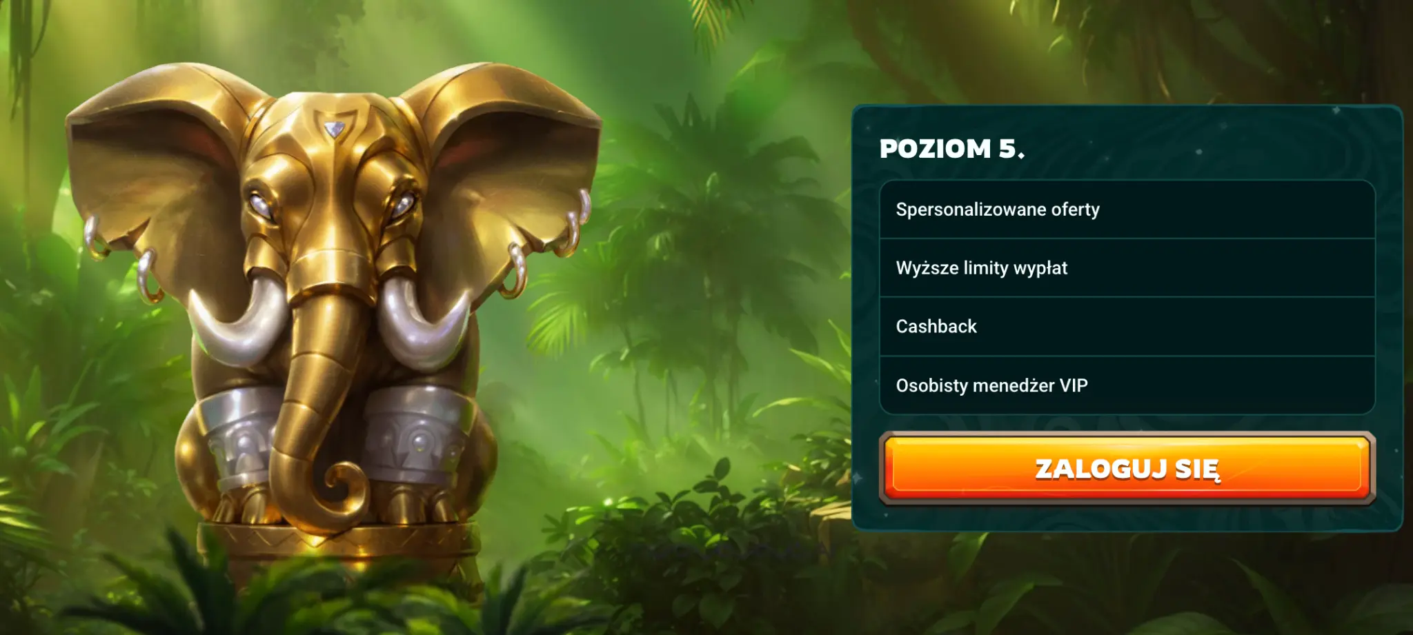Program lojalnosciowy Playio