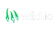 Wild.io casino